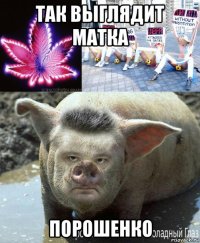 так выглядит матка порошенко