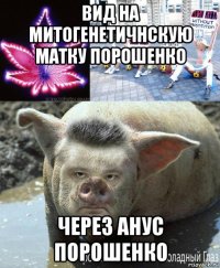 вид на митогенетичнскую матку порошенко через анус порошенко