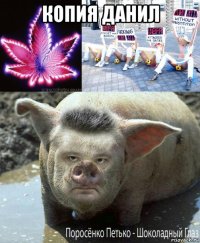 копия данил 