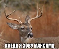  когда я зову максима