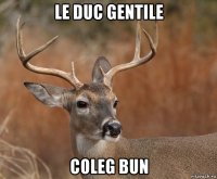 le duc gentile coleg bun