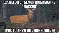 да нет ,что ты,моя любимая не массон просто треугольники любит