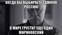 когда вы выбираете едмную россию в мире грустит еще один жириновский