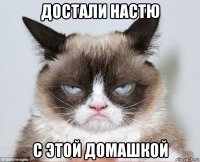 достали настю с этой домашкой