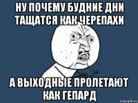 ну почему будние дни тащатся как черепахи а выходные пролетают как гепард