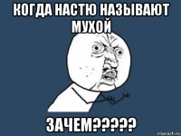 когда настю называют мухой зачем?????