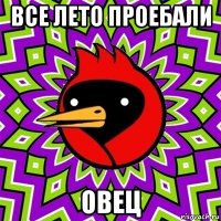 все лето проебали овец