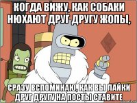 когда вижу, как собаки нюхают друг другу жопы, сразу вспоминаю, как вы лайки друг другу на посты ставите
