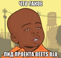 что такое лид проекта beets blu