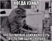 когда узнал что ты такой не один и у неё есть "та есть там ещё несколько“