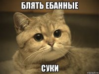 блять ебанные суки