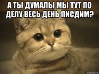 а ты думалы мы тут по делу весь день писдим? 