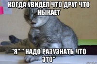 когда увидел что друг что ныкает "я" " надо разузнать что это"