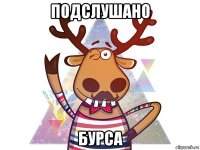 подслушано бурса