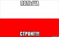 польша стронг!!!