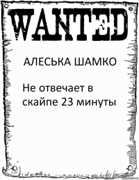 АЛЕСЬКА ШАМКО Не отвечает в скайпе 23 минуты