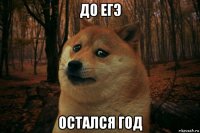 до егэ остался год