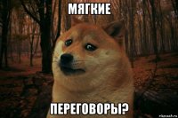 мягкие переговоры?