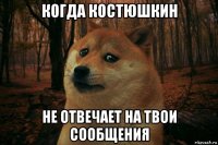 когда костюшкин не отвечает на твои сообщения