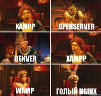 Xampp Openserver Denver Xampp Wamp Голый nginx