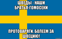 шведы - наши братья-гомосеки протоваряги. болеем за швецию!