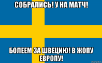 собрались! у на матч! болеем за швецию! в жопу европу!