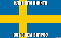 илья или никита вот в чем вопрос