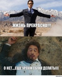 Жизнь прекрасна!!! О нет....ещё уроки сына делать(((