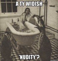 a ty widish 'nudity'?