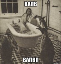 вапв вапвп