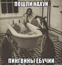 пошли нахуй пингвины ебучии