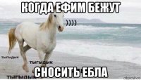 когда ефим бежут сносить ебла