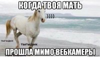 когда твоя мать прошла мимо вебкамеры