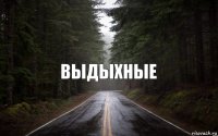 ВЫДЫХНЫЕ