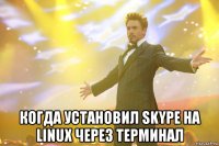  когда установил skype на linux через терминал