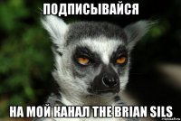 подписывайся на мой канал the brian sils