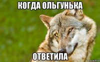 когда ольгунька ответила