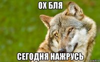 ох бля сегодня нажрусь