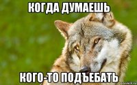 когда думаешь кого-то подъебать