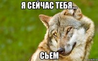 я сейчас тебя... сьем