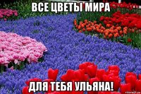 все цветы мира для тебя ульяна!