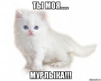 ты моя..... мурлыка!!!