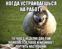 когда устраиваешься на работу то через-неделю две там появляется такое и начинает портить настроение