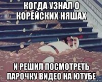 когда узнал о корейских няшах и решил посмотреть парочку видео на ютубе