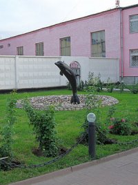 Создать мем Дельфин черный