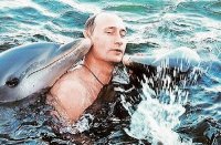 Создать мем Дельфин