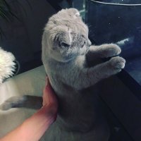 Создать мем Грустный По