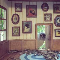 Создать мем Home