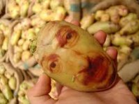 Создать мем Картоха