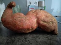 Создать мем Картошка кач